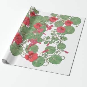 Papier Cadeau Nasturtiums rouges   Antique Lithographie 1896