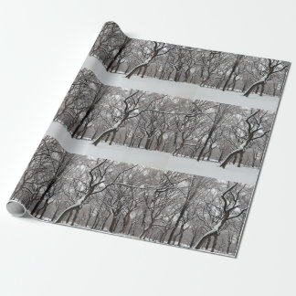 Papier Cadeau Neige couvert de roseaux dans Central Park NYC
