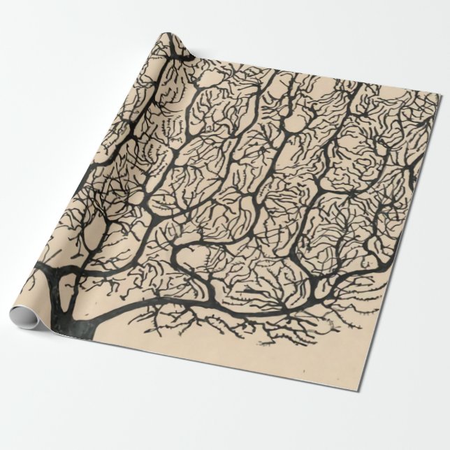Papier Cadeau Neuron Drawing By Santiago Ramón Y Cajal (Déroulé)