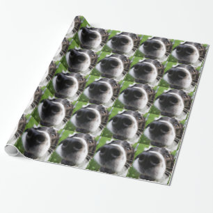 Papier Cadeau Nez de chien de border collie