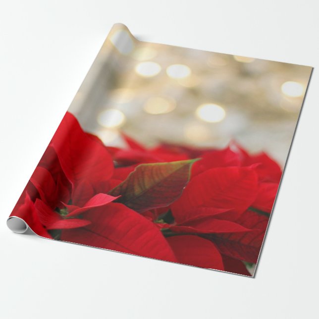 Papier Cadeau Noël Chic Poinsettia Holiday (Déroulé)