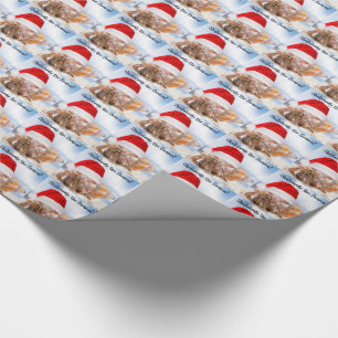 Papier Cadeau Noël de bernard l'ermite petit