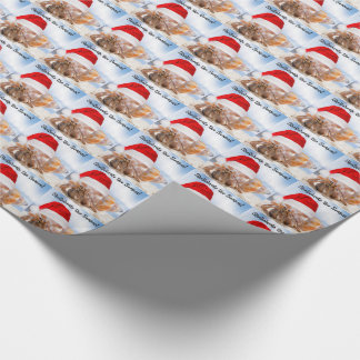 Papier Cadeau Noël de bernard l'ermite petit