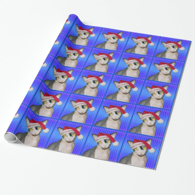 Papier Cadeau Noël de bleu de Père Noël de chat de Sphynx (Déroulé)