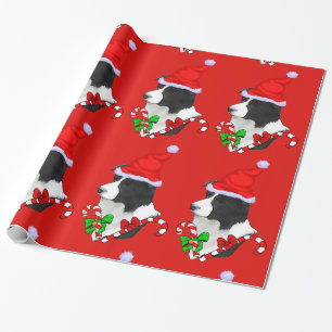 Papier Cadeau Noël de border collie