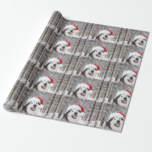Papier Cadeau Noël de Malamute d'Alaska