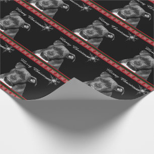 Papier Cadeau Noël de pitbull
