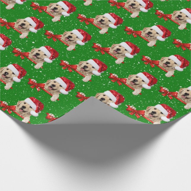 Papier Cadeau Noël Golden Retriever en vert (Coin)