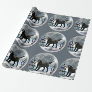 Papier Cadeau Noël Plat-Enduit de chien d'arrêt