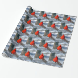 Papier Cadeau Oiseau cardinal rouge