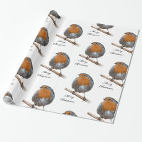 Oiseau de fête de Robin