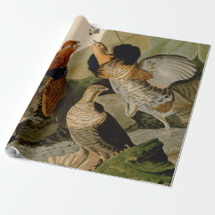 Papier Cadeau Oiseau de gibier Audubon