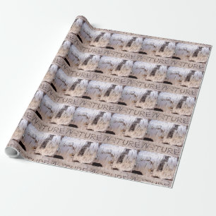 Papier Cadeau Oiseau naturel