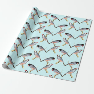Papier Cadeau Oiseaux