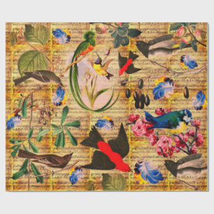 Papier Cadeau OISEAUX DE PRINTEMPS, PLUMES, FRUITS Notes musical