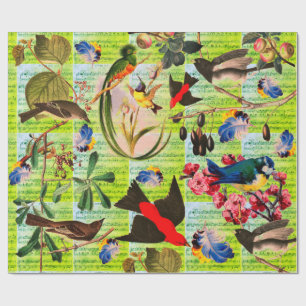 Papier Cadeau OISEAUX DE PRINTEMPS, PLUMES, FRUITS Notes musical