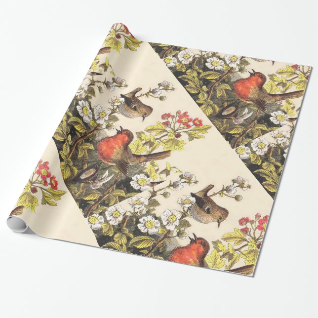 Papier Cadeau Oiseaux de printemps Robin Oiseaux rouges (Déroulé)