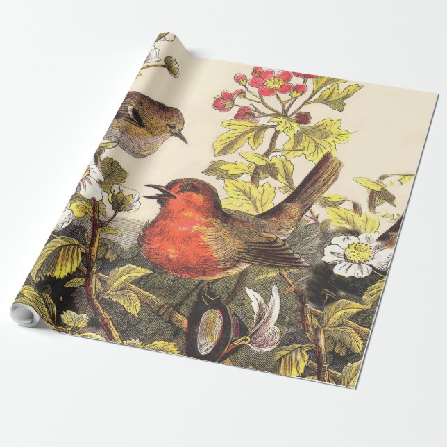 Papier Cadeau Oiseaux de printemps Robin Oiseaux rouges (Déroulé)