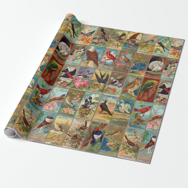 Papier Cadeau Oiseaux du 19ème siècle de l'Amérique (Déroulé)