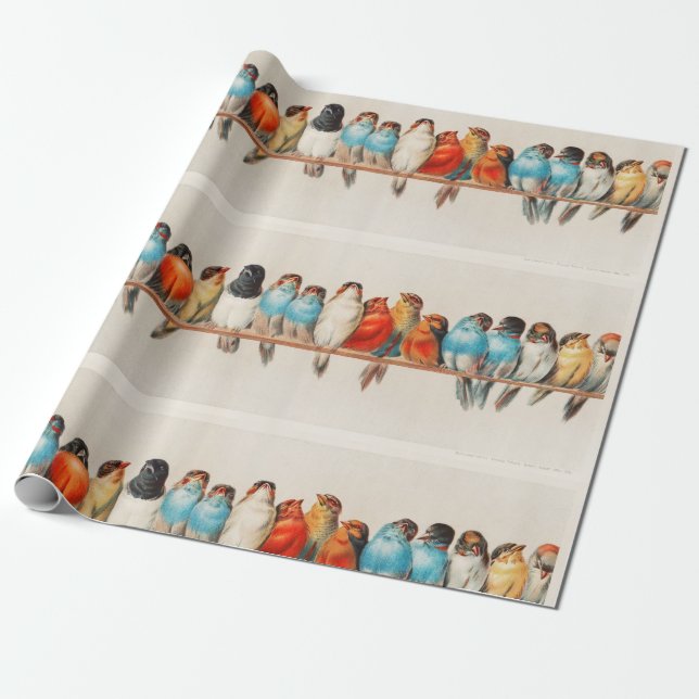 Papier Cadeau Oiseaux illustrés Vintages (Déroulé)