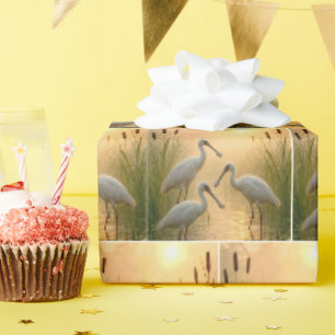Papier Cadeau Oiseaux spatules dans les zones humides
