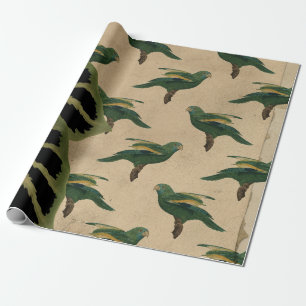 Papier Cadeau Oiseaux verts et jaunes vintages