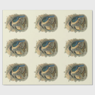 Papier Cadeau Oiseaux vintages de NZ de la Science -