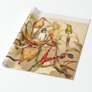Papier Cadeau Oiseaux vintages d'oiseaux de colibris d'oiseau de