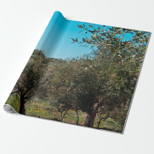 Papier Cadeau Oliviers dans le paysage des Pouilles en automne.