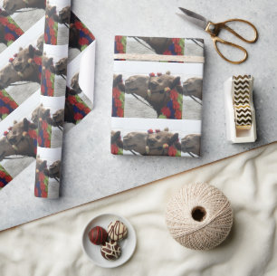 Papier Cadeau Oman ! Mascate