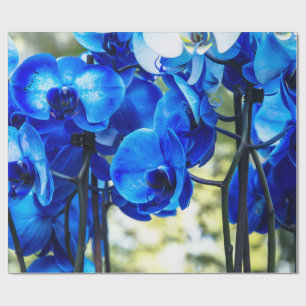Papier Cadeau Orchidées bleues