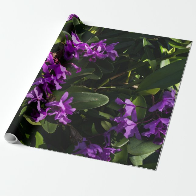 Papier Cadeau Orchidées pourpres (Déroulé)