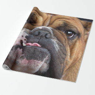 Papier Cadeau Oreillers à lancer de Bulldog anglais