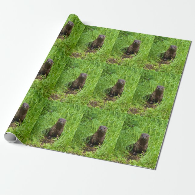 Papier Cadeau Otter (Déroulé)
