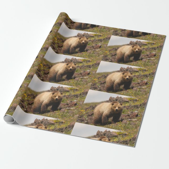Papier Cadeau ours (Déroulé)