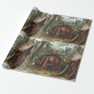 Papier Cadeau Ours de cannelle (Ursus Americanus var. Cinnamonum