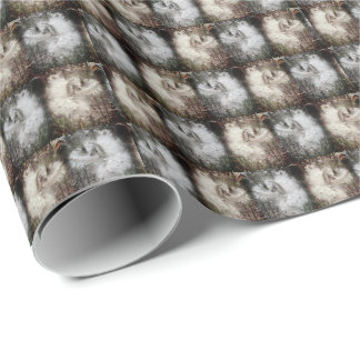 Papier Cadeau Ouvrir les pots d'algues | Graines avec soie | Fil