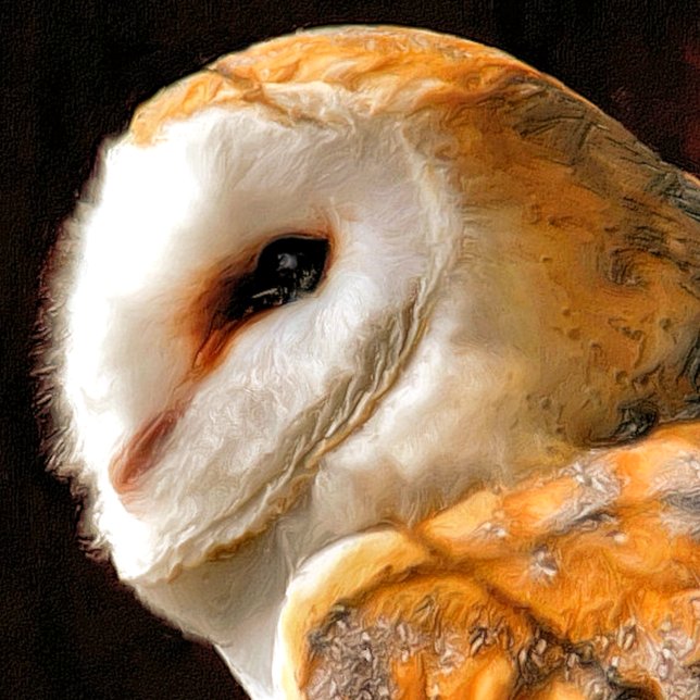 PAPIER CADEAU OWLS (A beautiful soft focus watercolour of a Barn Owl.)