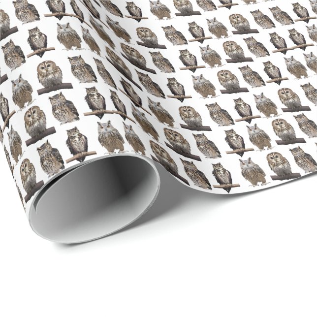 Papier Cadeau Owls (Coin rond)