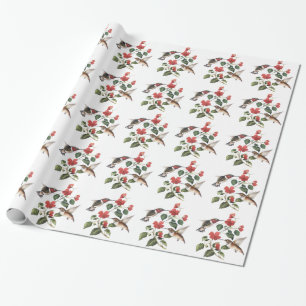 Papier Cadeau Paires florales vintages douces de colibris