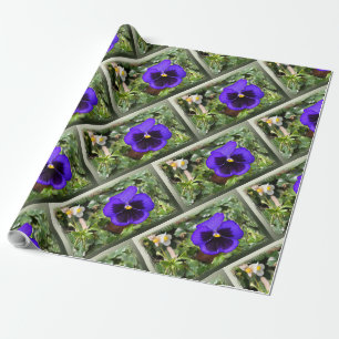 Papier Cadeau Pansement pourpre