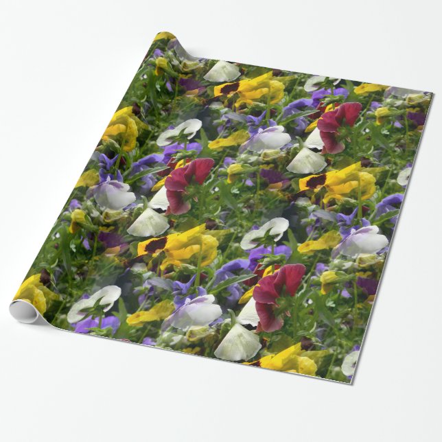 Papier Cadeau Pansies pour toujours... (Déroulé)