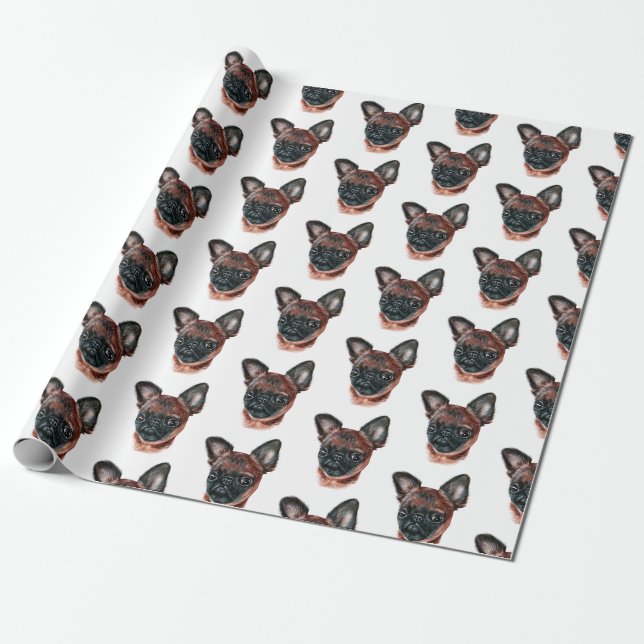 Papier Cadeau Papier à enveloppement Griffon de Bruxelles (Déroulé)