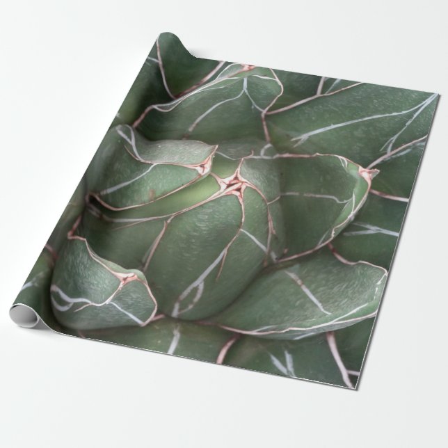 Papier Cadeau Papier à enveloppement Plante à succulents vert (Déroulé)
