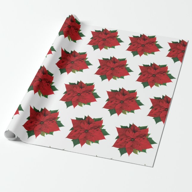 Papier Cadeau Papier à enveloppement Poinsettia (Déroulé)
