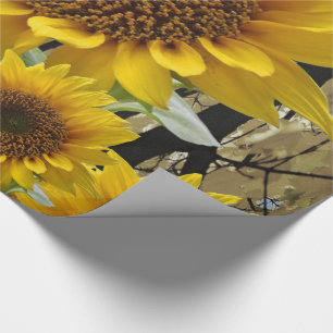 Papier Cadeau Papier à envelopper Fleurs de soleil
