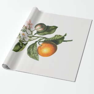 PAPIER CADEAU PAPIER CADEAU: BITTER ORANGE BLOSSOM