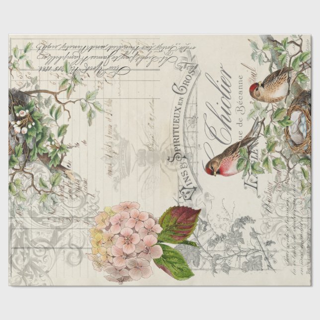 Papier Cadeau Papier de Decoupage 60lb d'oiseau d'éphémères (Couture)