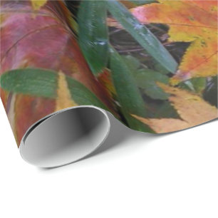 Papier Cadeau Papier d'écureuil