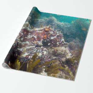 Papier Cadeau Papier d'emballage bleu de corail